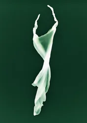 Nimetön, 2004