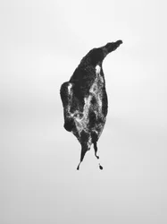 無題, 2009 (モノタイプ)