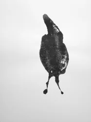 無題, 2009 (モノタイプ)