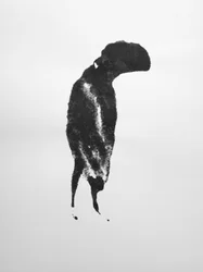 無題, 2009 (モノタイプ)