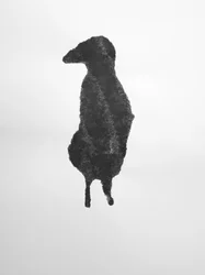 無題, 2009 (モノタイプ)