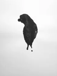 無題, 2009 (モノタイプ)