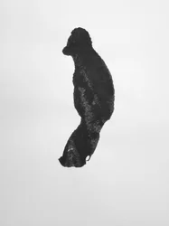 無題, 2009 (モノタイプ)