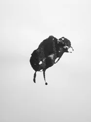 無題, 2009 (モノタイプ)