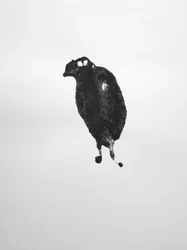 無題, 2009 (モノタイプ)