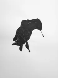 無題, 2009 (モノタイプ)