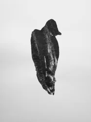無題, 2009 (モノタイプ)