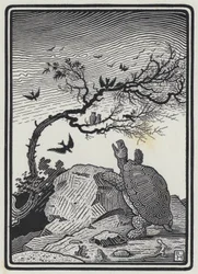 The Tortoise And The Birds (e.g. the engraving)