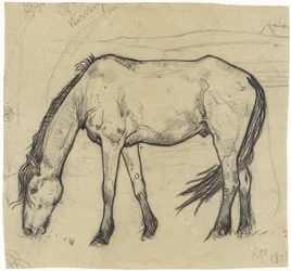 ノールドワイクで馬を放牧
