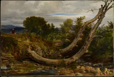 Heron Disturbed、c.1850（ミルボードに油彩）