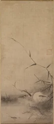 魚と海藻