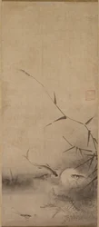 魚と海藻、16世紀。