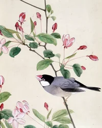 鳥 - リウ・チムによる日本画、19世紀後半