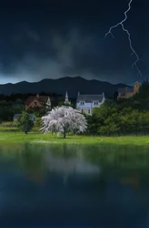 残酷な月, 2008 （アクリル、板）
