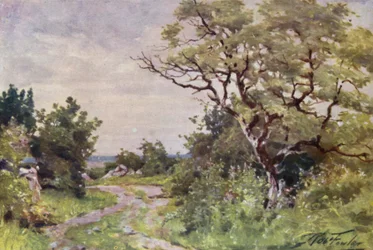 Llanrug近郊のField Path（カラーリトグラフ