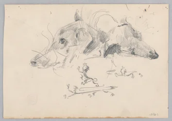 犬とライオン