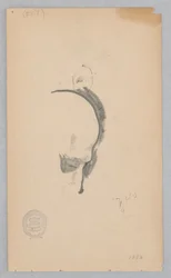 形