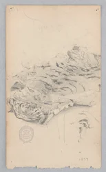虎皮敷物
