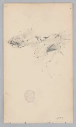 虎皮敷物