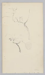 木