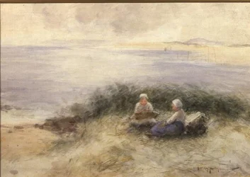 夏の海