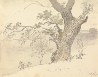 Tammi Englefield Parkissa
