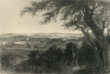 「ボルチモア市、ドルイド ヒル パーク」、1874 年。