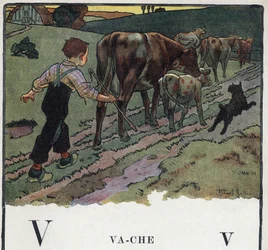 子どもの本「I will read - パパによる方法的で楽しいアルファベット」1926年。ロベール・サレス（1871-1929）によるイラスト。アベセダリー：V字を牛に見立てています。少年は犬を助け、牛の群れを野原に追いやる。