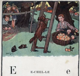子どもの本「I will read - パパによる方法的で楽しいアルファベット」1926年。ロベール・サレス（1871-1929）によるイラスト。アベセダリー：Eの文字がスケールになっています。リンゴの木を背にして、犬がはしごに登ってポーズをとっています。