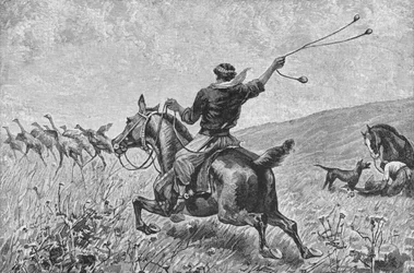 ボーラスを投げる、c1885、1890