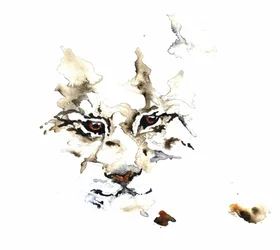 野生のオオヤマネコの水彩画