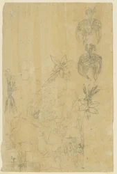 花学と入浴女性