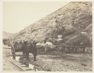 1855年、バラクラバを去る牛と荷車。
