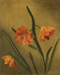 花の研究（帆布に油彩）