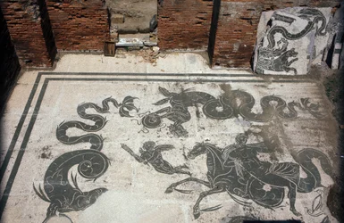 古代のオスティア（Ostia）。Place des Corporations（企業広場）。サブラタの船員公社のモザイク。ネプチューンの浴場。