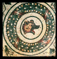 クマの頭、ローマ時代のモザイク、4世紀初頭（モザイク）