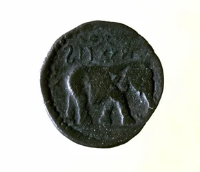 象を象ったカルタゴのコイン。紀元前3～2世紀