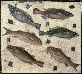 魚（モザイク）
