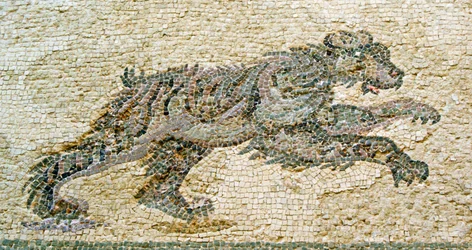 狩猟シーン、クマの詳細、ディオニソスの家、パフォス、キプロスのモザイク