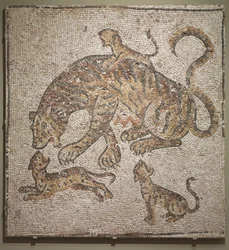 ティグレスとカブス、西暦300年頃