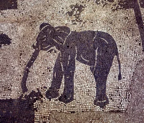 古代のオスティア（Ostia）。Place des Corporations（企業広場）。サブラタの船員公社のモザイク。