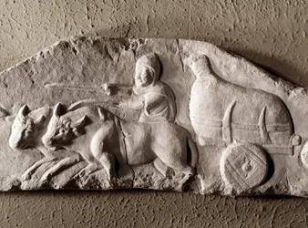 ローマ美術：彫刻された牛の戦車（ローマ古代博物館、ローマ