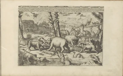 Aziatische en Afrikaanse diren Aziatische en Afrikaanse dieren / アジアとアフリカの動物 (オブジェクトのタイトル) 東西インド諸島とその他の場所 (シリーズ タイトル)