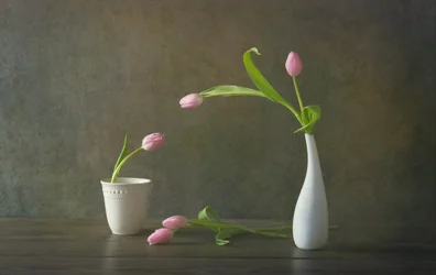 優雅なピンクのチューリップの静物画