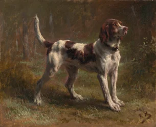 リミエ・ブリケ猟犬、1856年頃