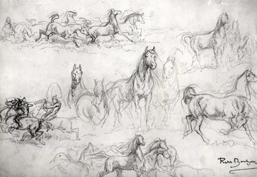 馬の習作