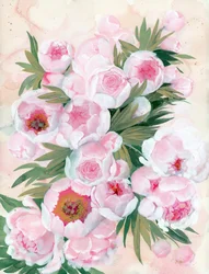 ほのかに色づいた牡丹の花