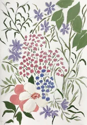 色とりどりの庭の花々