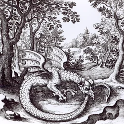 森の中のドラゴン、バジルバレンタイン作「Musaeum Hermeticum Reformatum」（1678年）