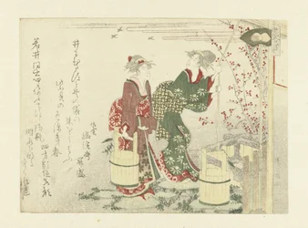 井戸から水を汲む 紫色の殻 紫色の貝殻 (オブジェクトのタイトル)